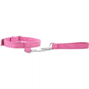 Tickle Me Pink Leash & Collar